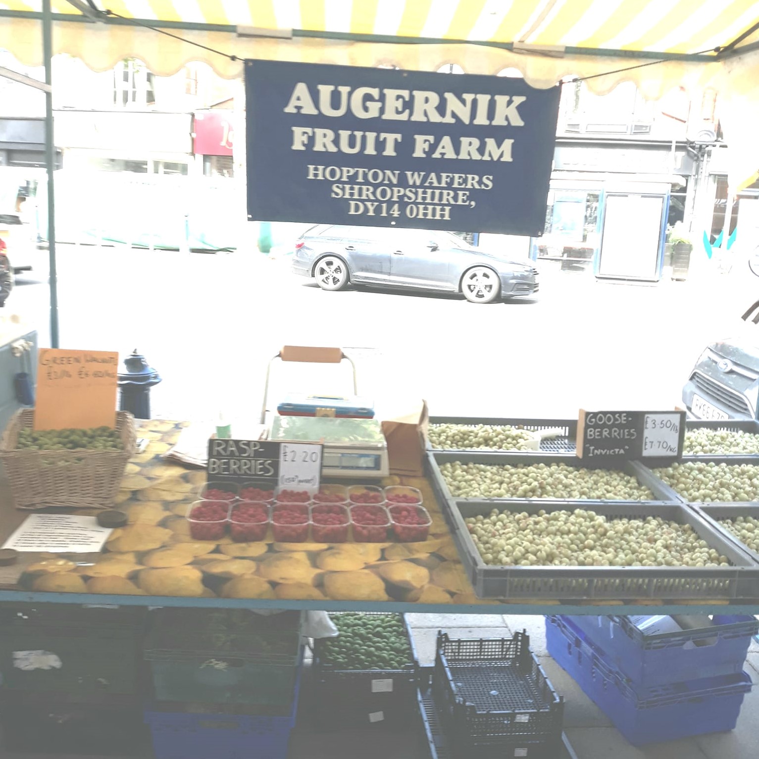 Augernik Fruit Farm